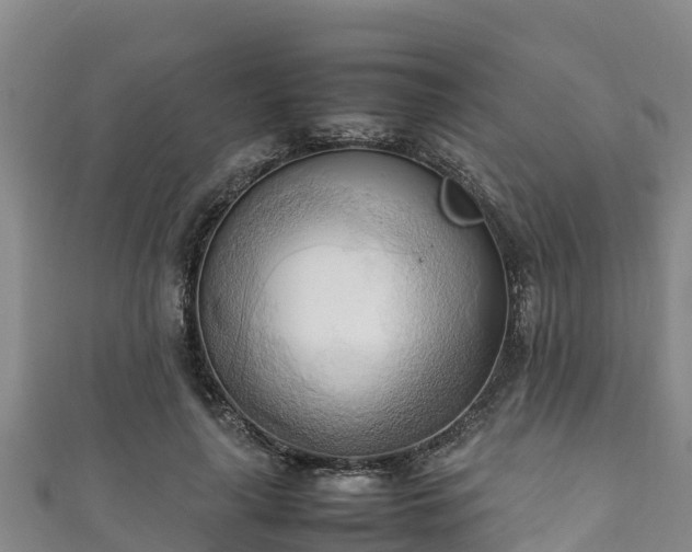 X0000111600643200907231236
