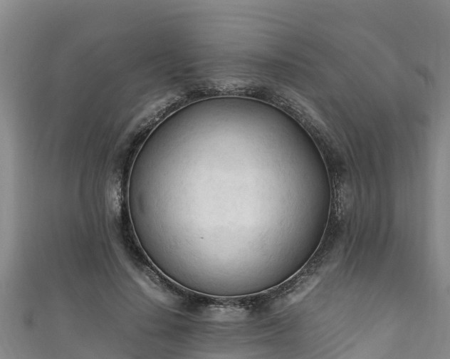 X0000111600644200907231236