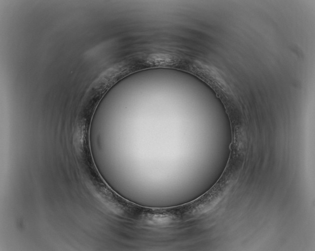 X0000111600645200907231236