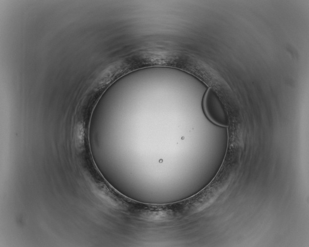 X0000111600646200907231236