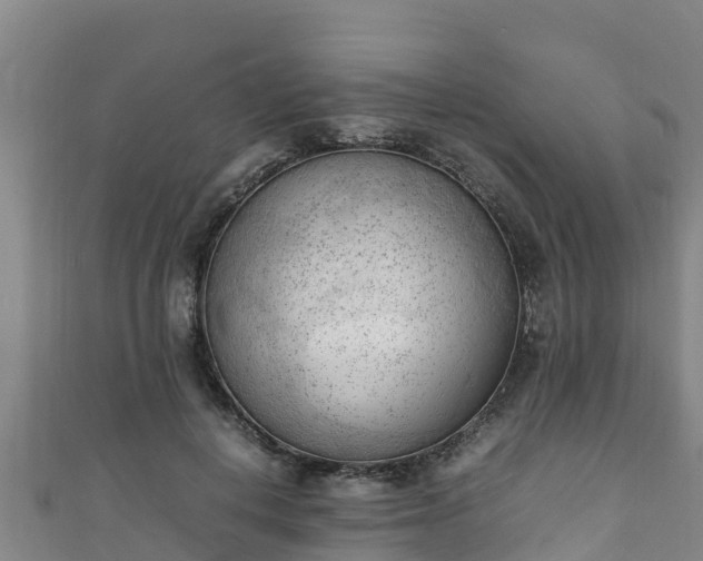 X0000111600648200907231237