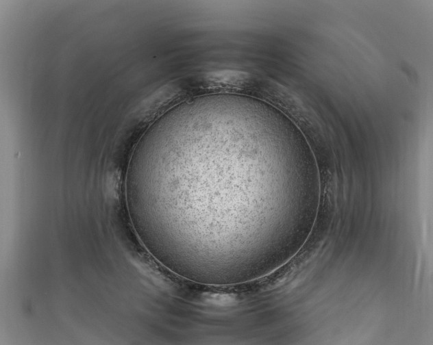 X0000111600649200907231237