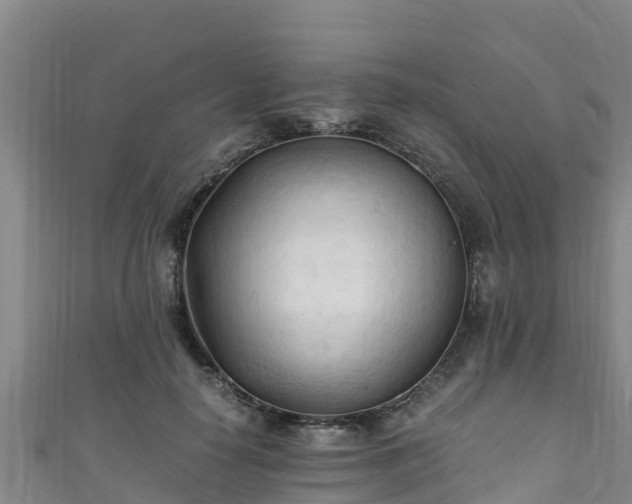 X0000111600650200907231237