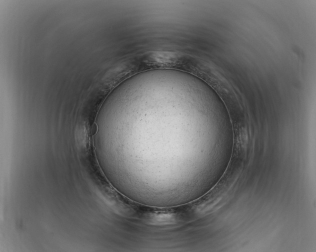 X0000111600651200907231237