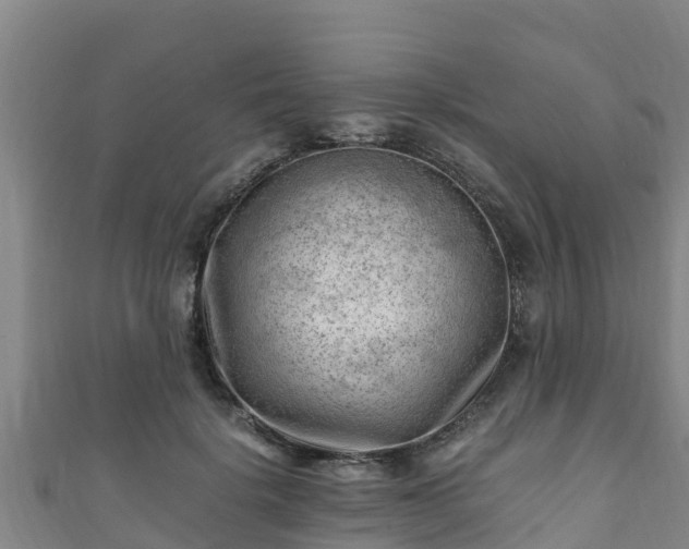X0000111600652200907231237