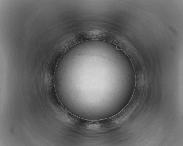 X0000111600653200907231237