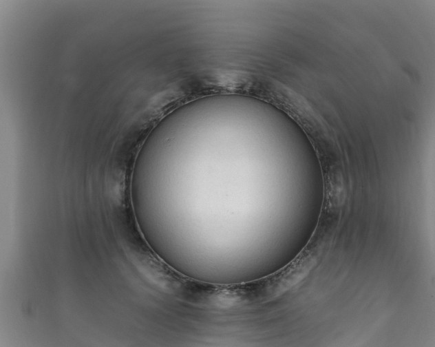 X0000111600656200907231237