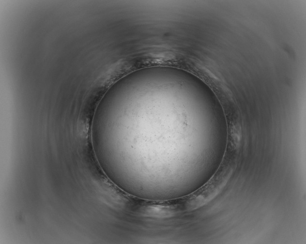 X0000111600657200907231237