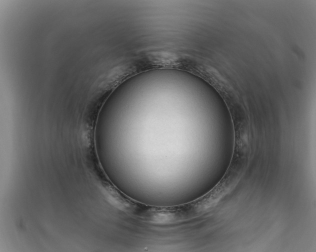 X0000111600658200907231237