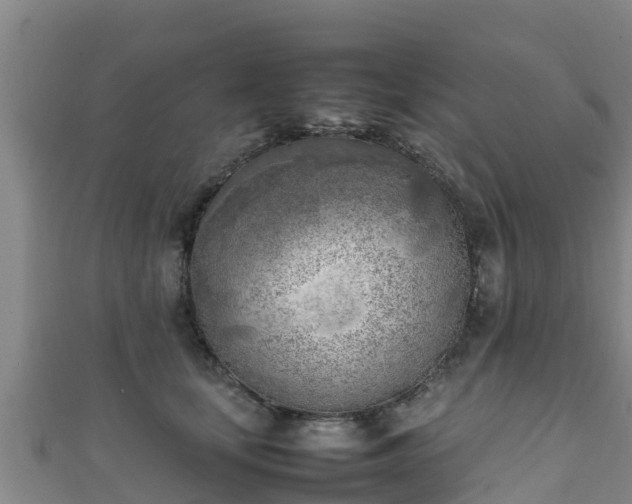 X0000111600659200907231237