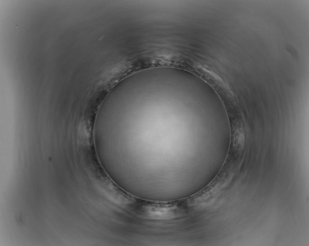 X0000111600661200907231237