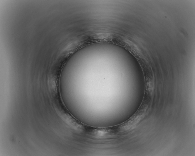 X0000111600662200907231237