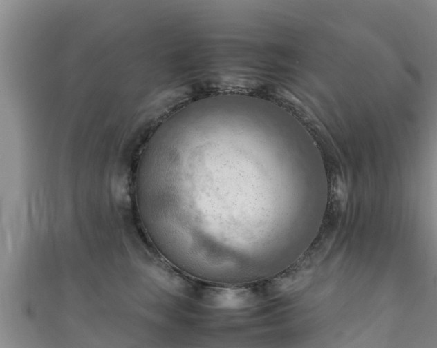 X0000111600663200907231237