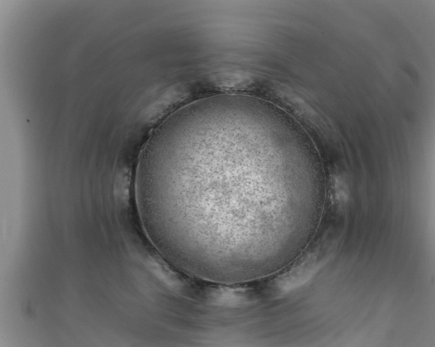 X0000111600664200907231237
