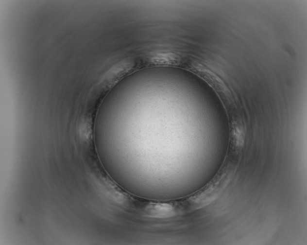 X0000111600665200907231237