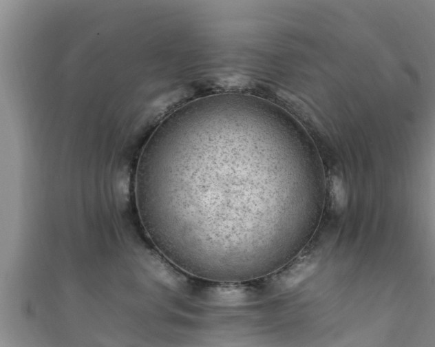 X0000111600668200907231237