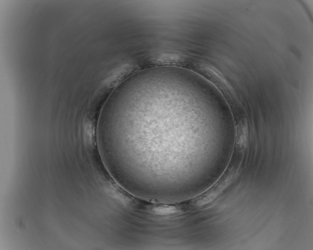 X0000111600669200907231237