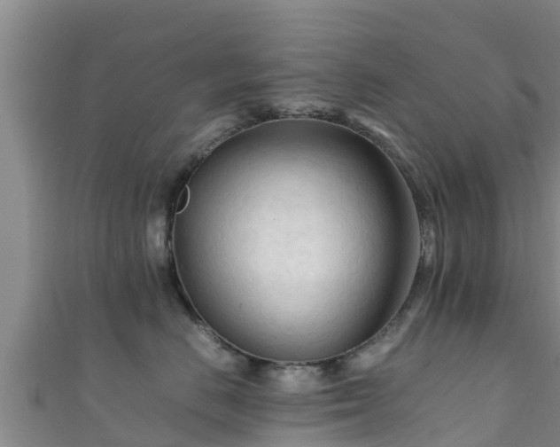 X0000111600670200907231237