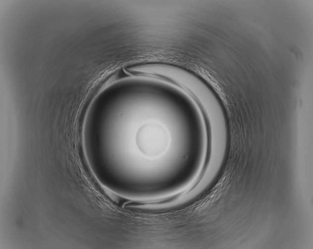 X0000111600673200907231236