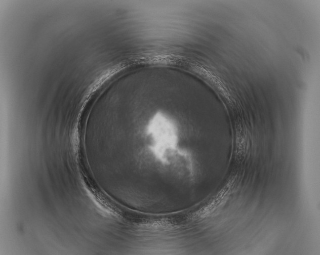 X0000111600674200907231236