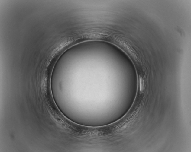 X0000111600675200907231236