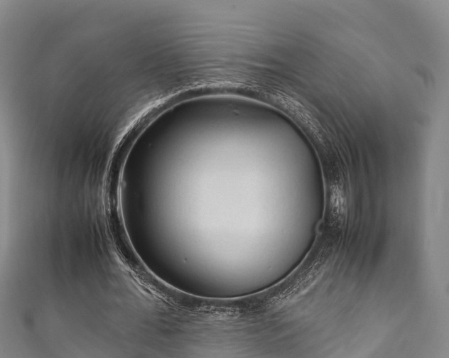 X0000111600676200907231236
