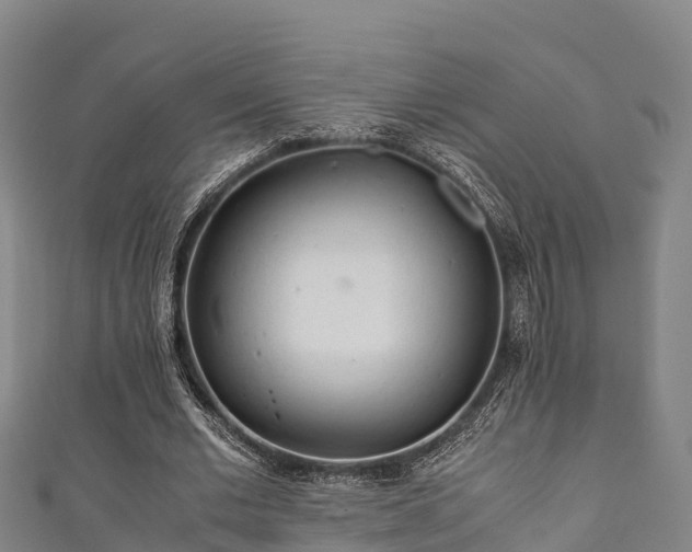 X0000111600677200907231236