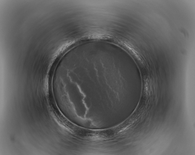 X0000111600678200907231236