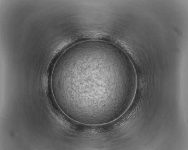 X0000111600679200907231236