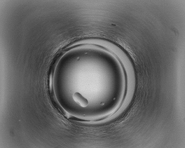 X0000111600681200907231236