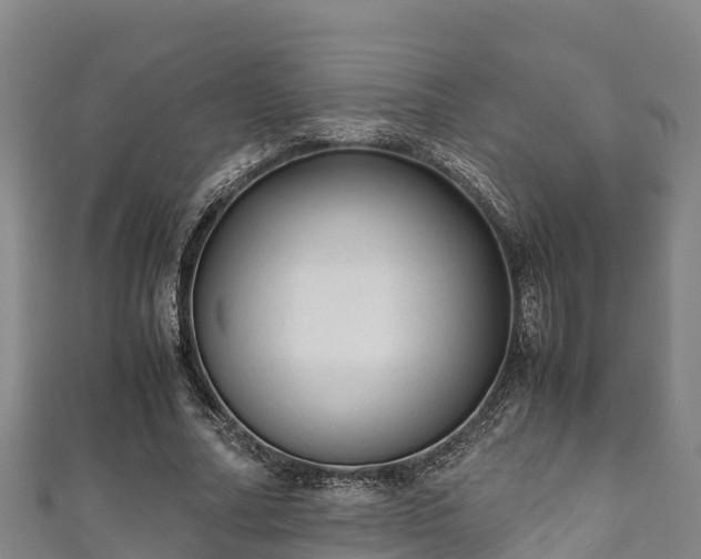 X0000111600682200907231236