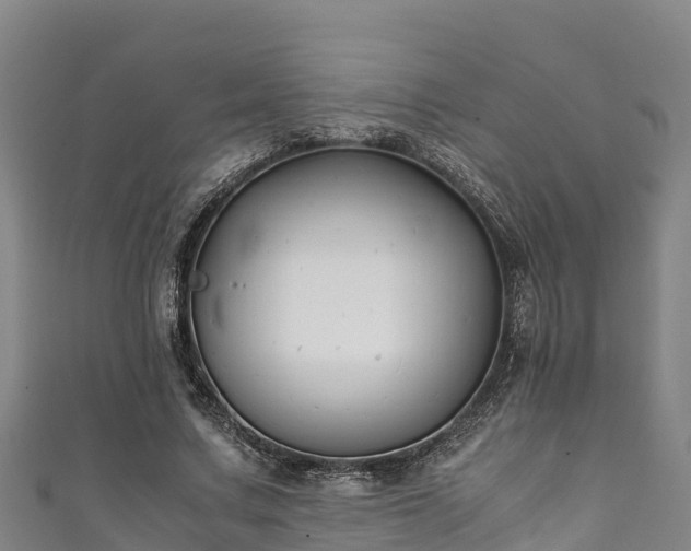 X0000111600683200907231236