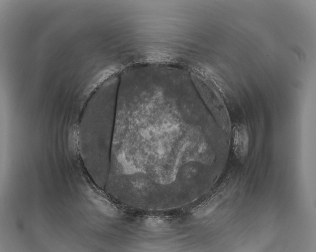 X0000111600684200907231236