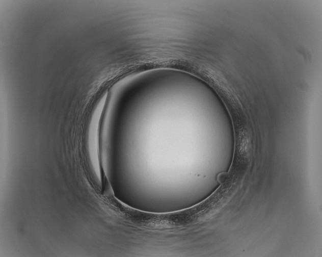 X0000111600685200907231236