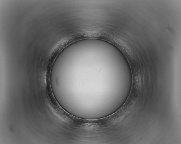 X0000111600686200907231236