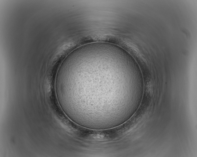 X0000111600687200907231236