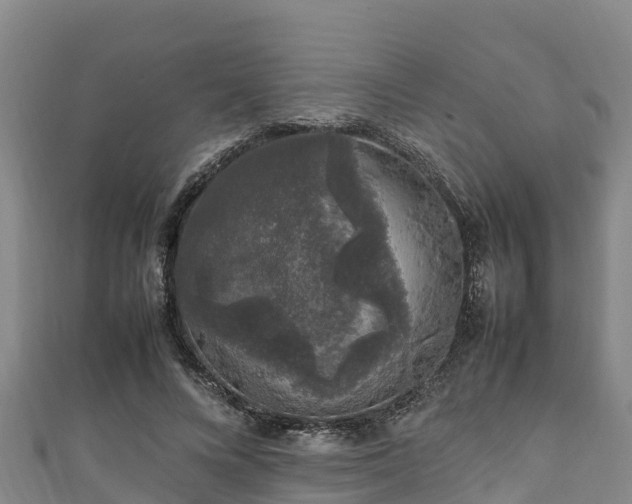 X0000111600688200907231236