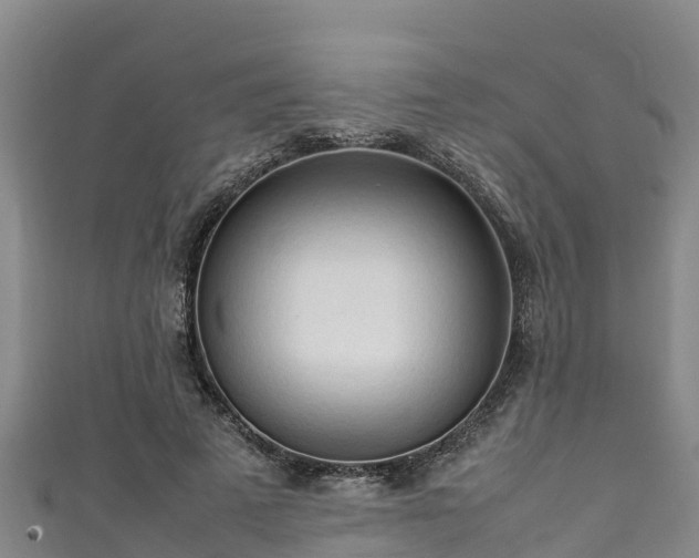 X0000111600689200907231236