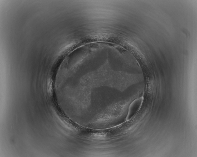 X0000111600692200907231236