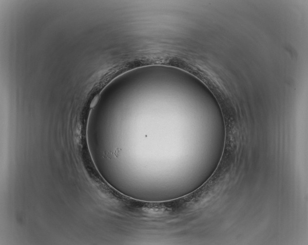 X0000111600693200907231236