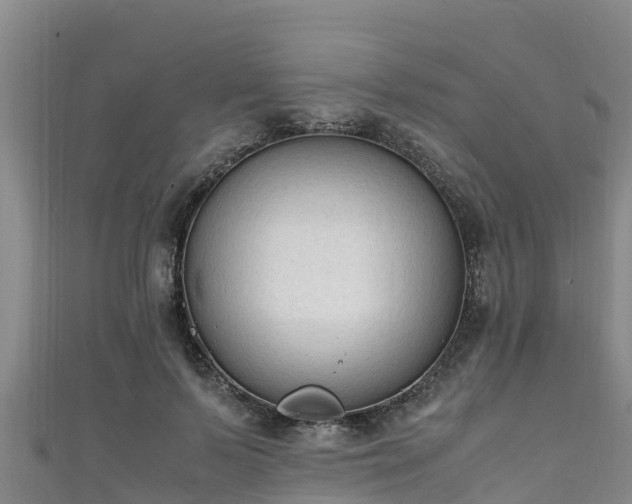 X0000111600695200907231236