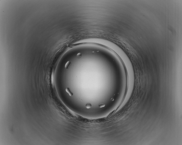 X0000111600696200907231236