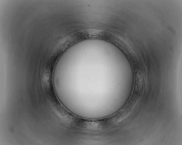 X0000111600698200907231236