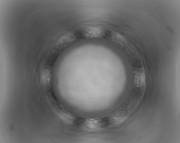 X0000111600701200907231236