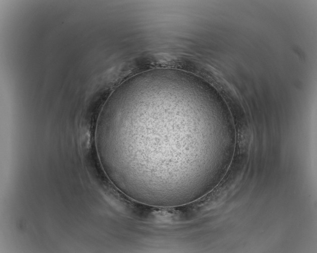 X0000111600703200907231236