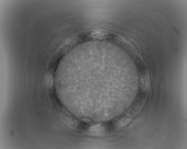 X0000111600705200907231236