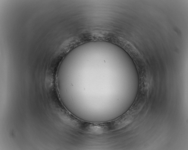X0000111600706200907231236