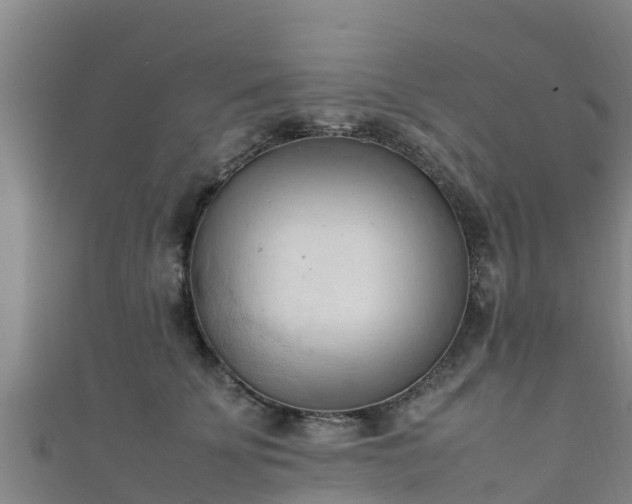 X0000111600707200907231236