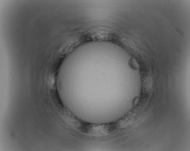 X0000111600709200907231236