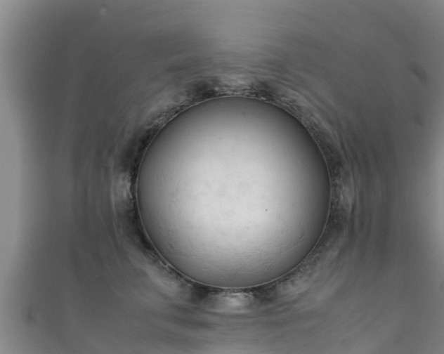 X0000111600711200907231236